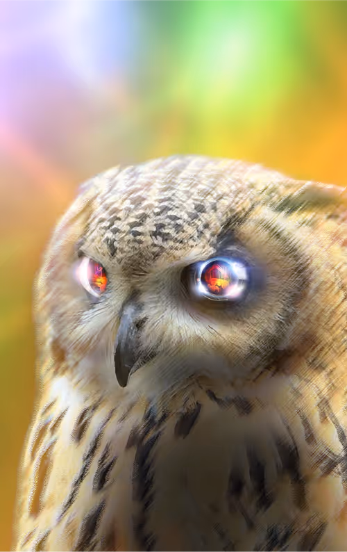 Item #58463189589733520168739816096332050439681193158488433899624995509948712484865 Media