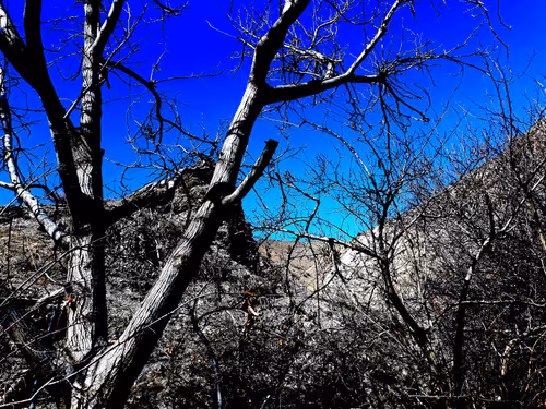 Item #32113585518735089884280564341914378894853705540135441781779048636036847501313 Media