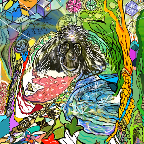 Untitled Collection #204892502