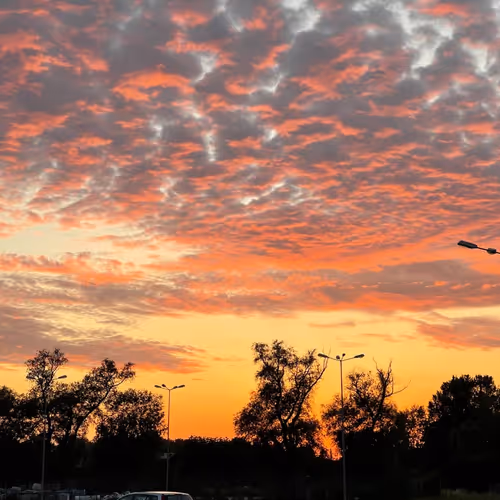 Untitled Collection #199272257