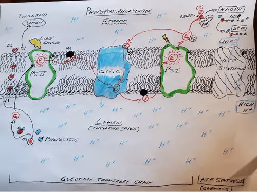 Item #99102041169906807959037455614556419526094308841615952765628005763136545095685 Media