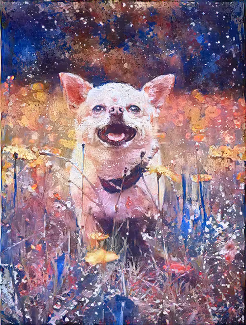 Item #64516051459774452287335340877793857734474137434668828631027847098637469351941 Media