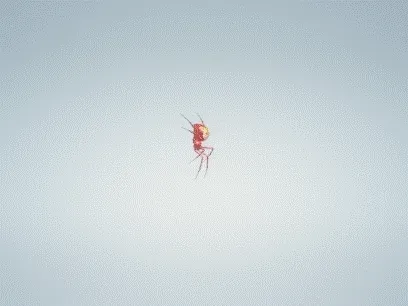 Item #84817653643574440536575130473169128135848323213030537748053027228343326474241 Media