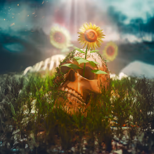 11504544857235207533873340498587459138317309624276358158142601042956715556865