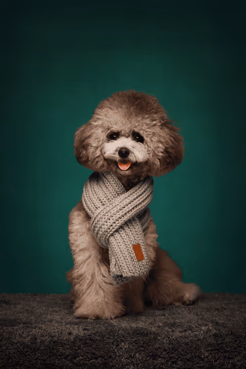 Item #8036610274517614856282005705215780499318604713549687172679363471986669912067 Media