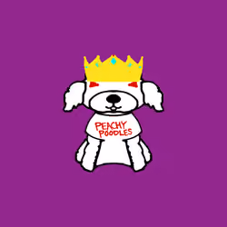 Peachy Poodle #564