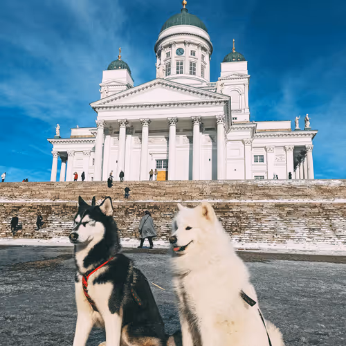 Item #75420545532376289755643247772624516451003297348438695466432477879193682575361 Media