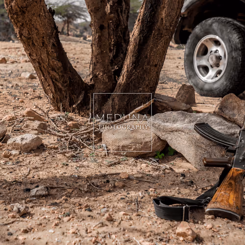 Item #112381046722962836592974674419935165827730707126809541689433939936094197907466 Media