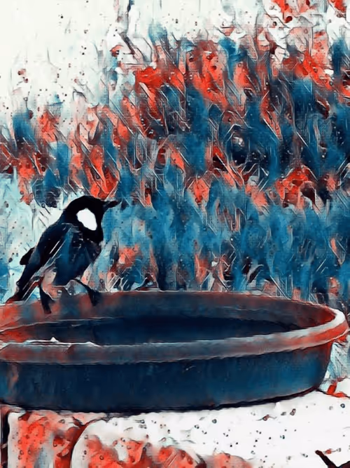 Item #36782780807699903135038144501557320909410292895804866127374726058925703036929 Media