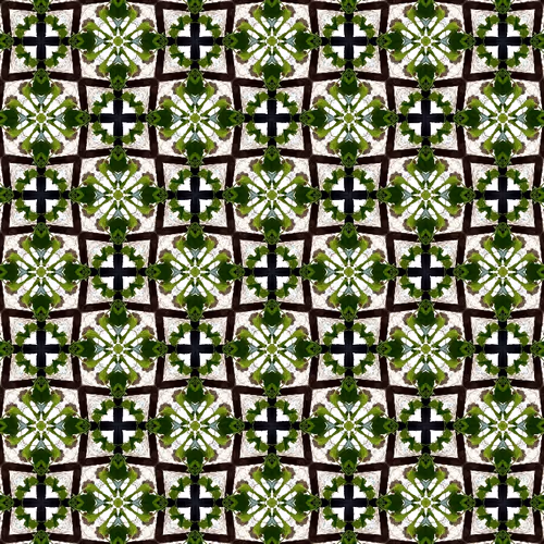 Item #36922569608931684653657988199360227008339850878002723071111472997630109286401 Media