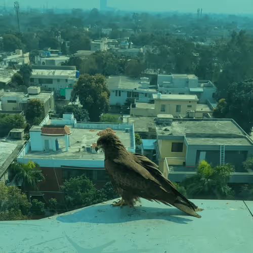 Untitled Collection #156248598