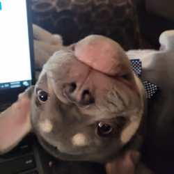 Hey Mom Can I Help You Work? #1