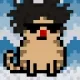 62467536445418901683526312390752010330375978015730577464472949146251568349185