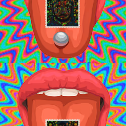 21320919599525787525857032761926138731981811936514015310088965521243683946497