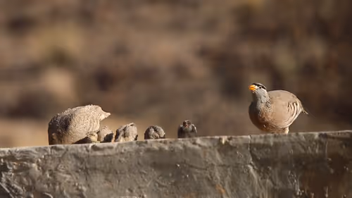 2468119463308914702005443652102614178506533567319377457804557005370477772801