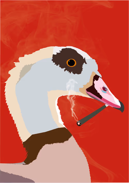 Item #46679994496108624530020148644785155104419172278486625888968681064177512480769 Media