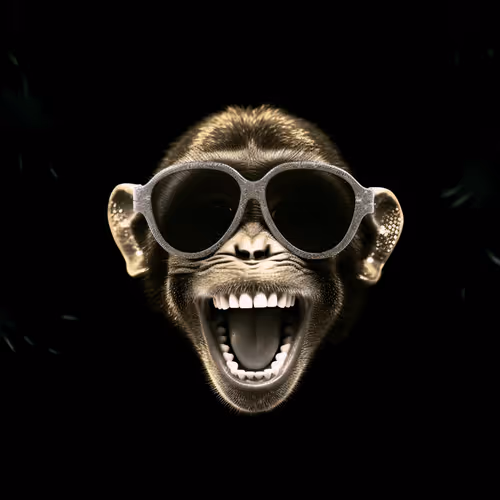 Item #57776877271231758150702203315203723957450219865168186088557297480330354098177 Media