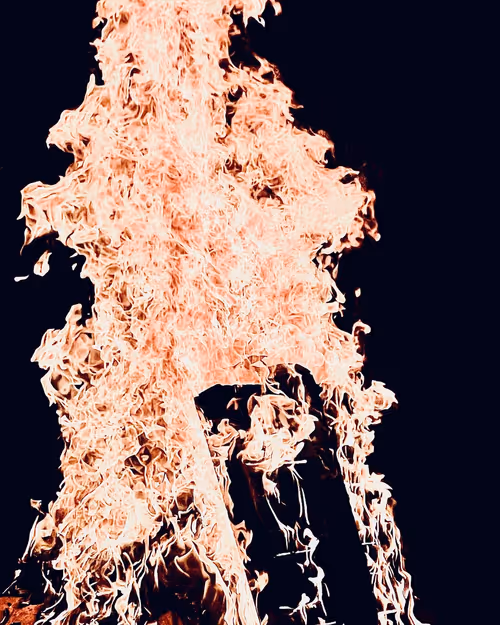 Item #75671859241641214878129532606226329122459776654842361315027014837607973520360 Media