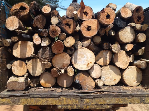 Item #102006201378976520734460731776155729887307616800660626474018585904587407884289 Media