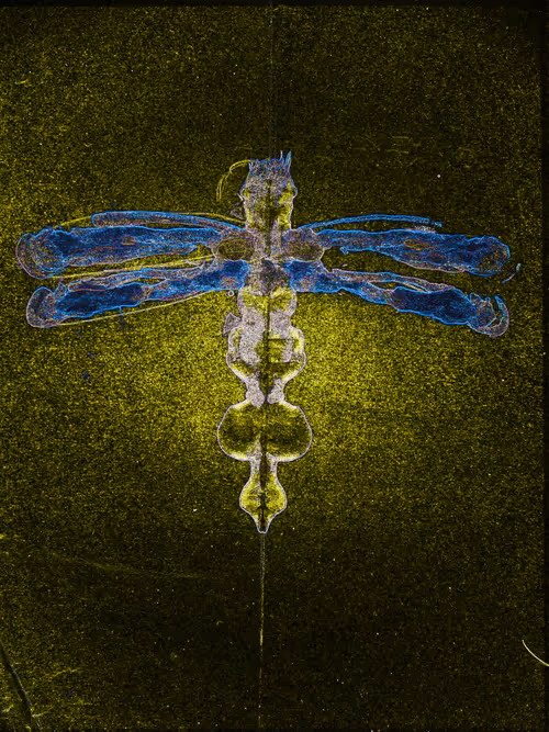 Item #80926432860847288351557924068159633664804178470775081465336394269421322409600 Media