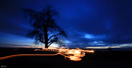 Item #113065873903366828743744079288708835697083018334279533284549130094295256137729 Media