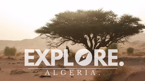 Item #55167293475857333829963200193227146355535503943447662520927477403797591949313 Media