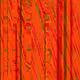 72515153017587135516909963707598978627377279178616458374338909552521259253761
