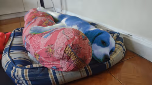 Item #62345621683661683193713543406616418673876020109873424311626099113569409826817 Media