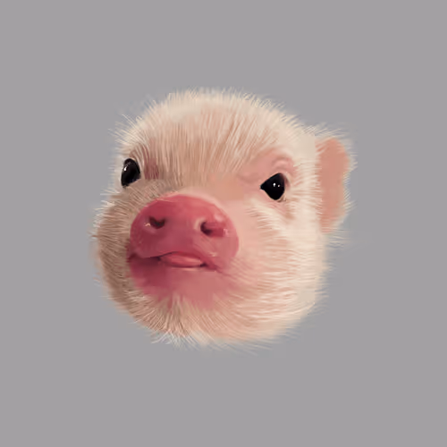 Untitled Collection #48687583