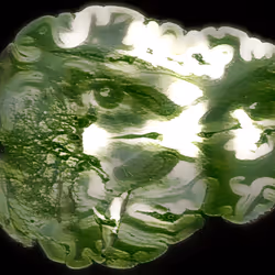 29877578668728852178902598419785793077778618348046200683544678257974944202753