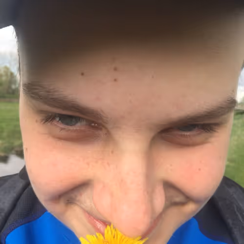 Untitled Collection #217788394