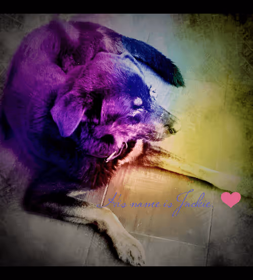 Item #5219404214059067611308692527070692539037353469418086859603687012087613095937 Media