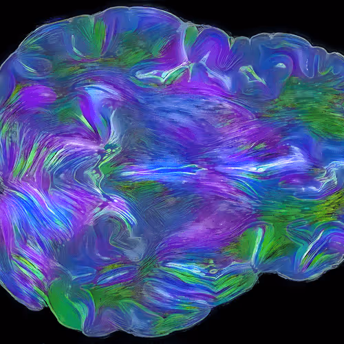 Item #29877578668728852178902598419785793077778618348046200683544678300855897686017 Media