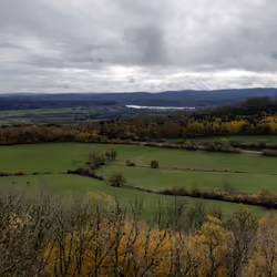 Landscape_1