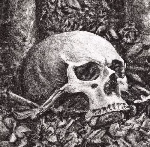 Item #54458992296567811908007104451167799420239702319712691159319554537781385494529 Media