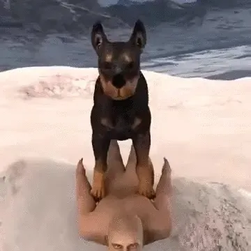 Item #77221172714149080418560638728885826483313599621805961061616993603700003962881 Media