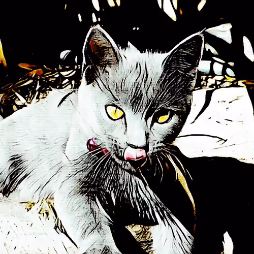 Item #64463310681125245675391591135030494168510991654605201361731743051542438084618 Media