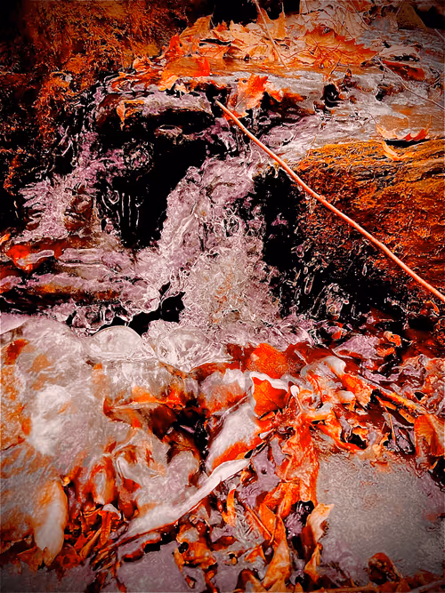 Item #582723344791578874392979375224931479207908297100719477511291135109783093258 Media