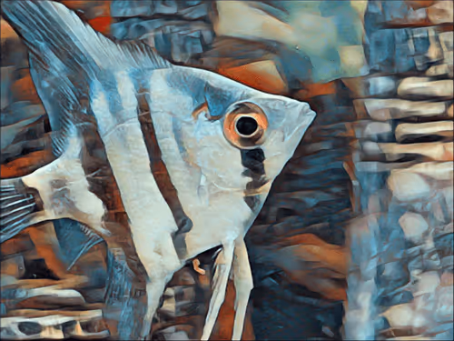 Item #13324389896169280785724229515865424122863587098162181637373510555793442734090 Media