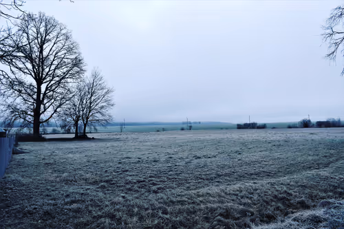 Item #25048395052866519615583306303043483840076282884633851044387431703684944232449 Media