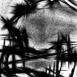 [G] [21,196]