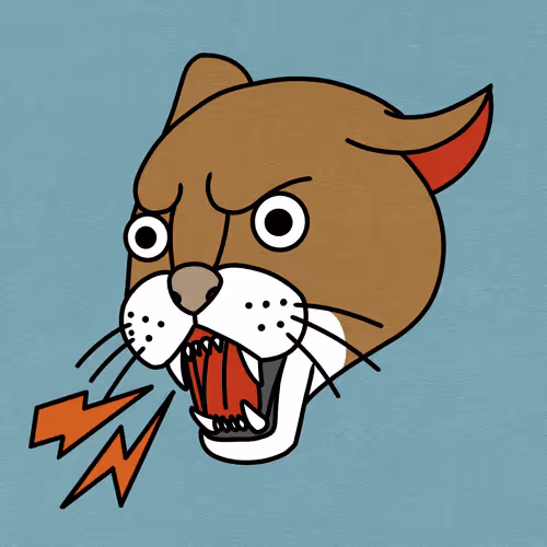 CRYPTO Puma