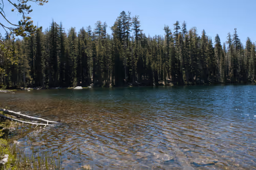 Item #21039072579662627083950365953116691379862102836667231441019030776826501791754 Media