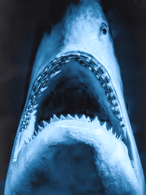 Item #111363445985459293616531591418406222693866722477509914610744344968018106777601 Media