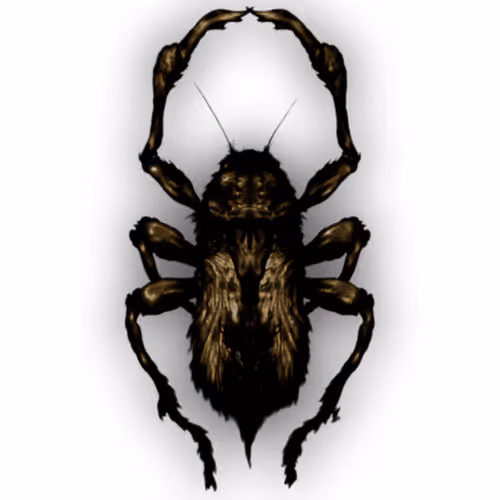 Item #37645953292770671666272828274463965904425699943193501340773845413413190107146 Media