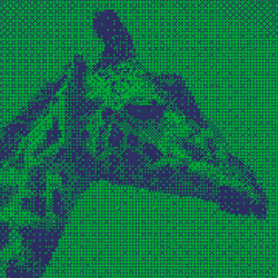 11276162529628641556553056529614973332754405277106184420845744950954405396481