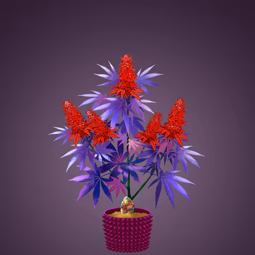 NFTokin #12674