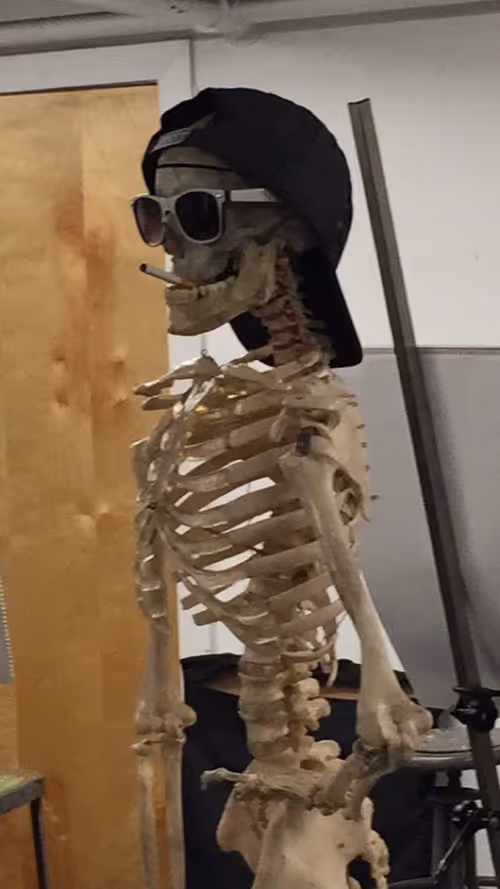 Item #69980221433485639247146115012761191677745971426232616602475931808138887430145 Media