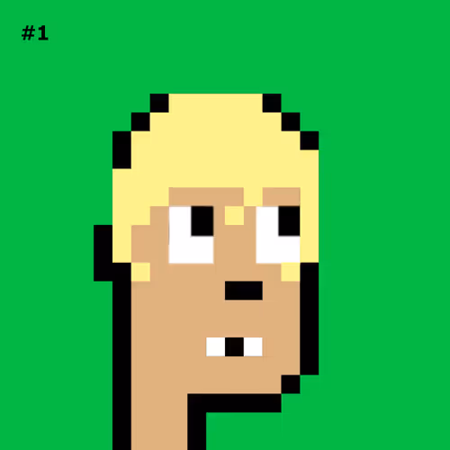 Item #54488653017128464359158808369528316516024000316279275677568662257650670501889 Media