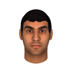 Outer brow raiser